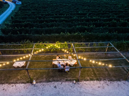 Dinner in the vineyard, under the stars, near Sirmione 1
